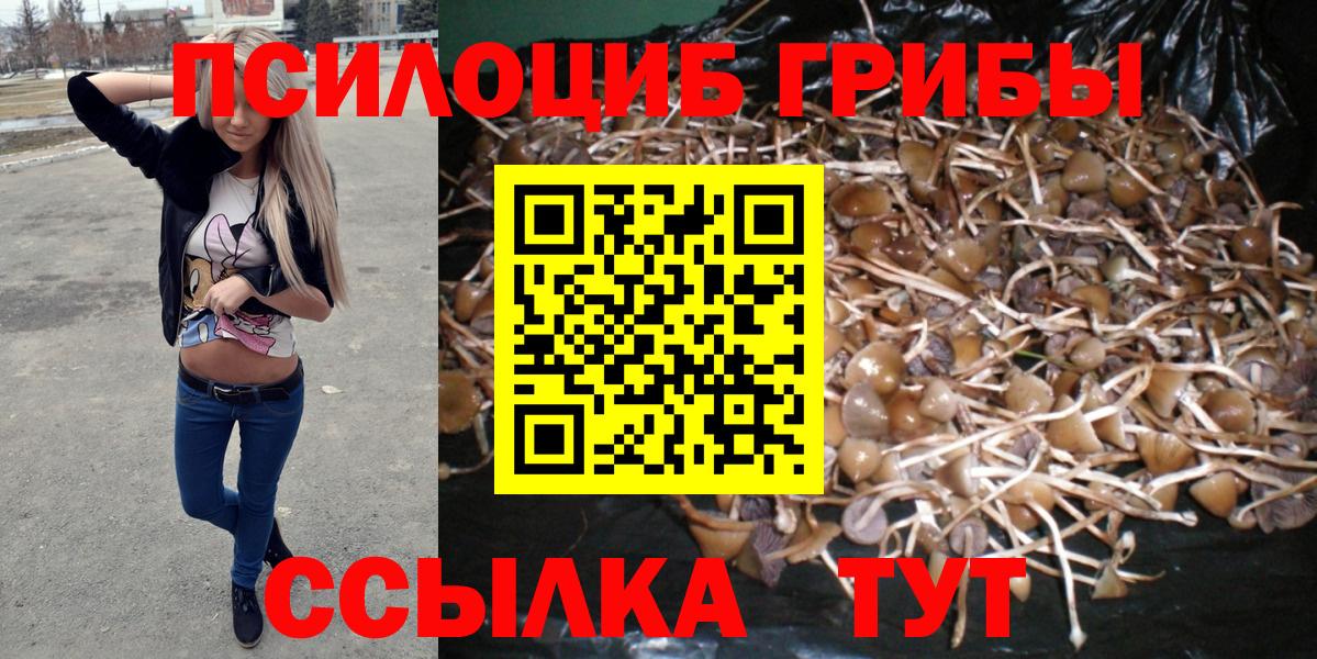 Хабаровск  Псилоцибиновые грибы Cubensis  Вход с VPN 