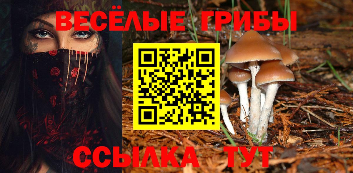 Галлюциногенные грибы мухоморы Хабаровск